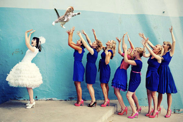 WEDDING INSPO // The top 10 best wedding guests (Hint: they aren't human)